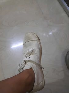 Classic White Sneakers