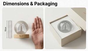 Crystal Lungs Light Lamp