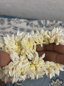 White Gajra Rubber band