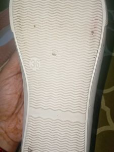 shoes Women