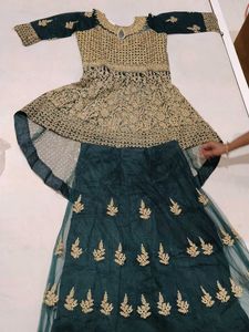 Designer Lehenga Choli Set