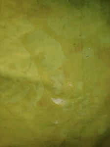Vibrant Lime Green Dupatta