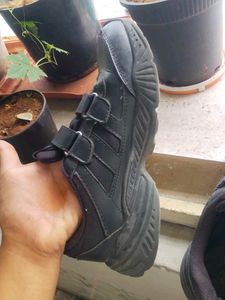 Branded Campus New  Black School And Casual Shoe