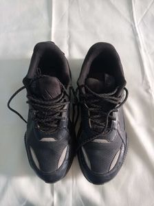 Puma Men Shoes