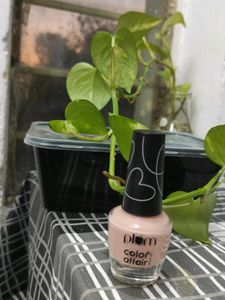 Plum Nail Polish In Colour Peaches N Cream