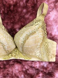 Elegant Lace Trimmed Bra