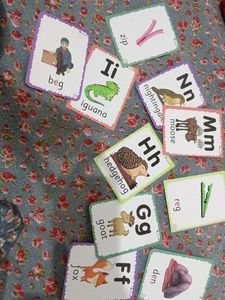 LumaLearn Flash Cards LKG