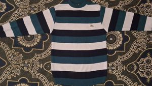 Striped Crew Neck Sweater