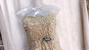 Sparkling Sequin Embellished corset