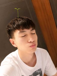 A Sprout Hair Clip
