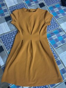 Mustard Yellow Casual Dress