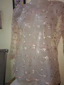 Sheer Floral Embroidered top