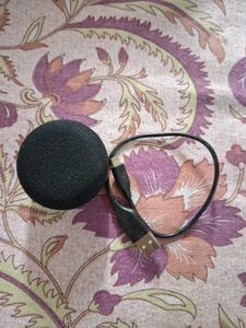 Speaker