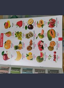 Title: "All-in-One Learning: Pre-nursery to Primary Kids' Comprehensive Educational Board Book"