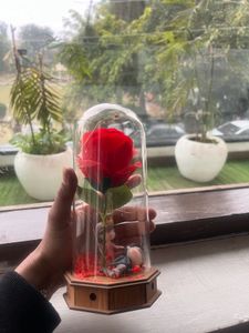 Showpiece Combo