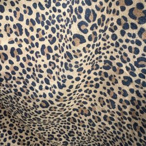 Leopard Print Maxi Skirt