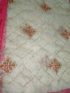 Elegant Pink Embroidered Dupatta
