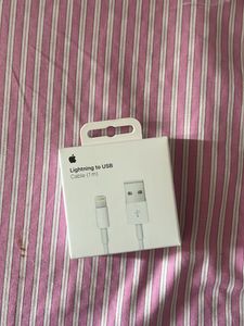 Apple Lightning to USB Cable (1m)