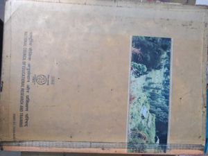 CBSE Class 10 books