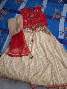Stunning Embroidered Lehenga Choli Set for kids