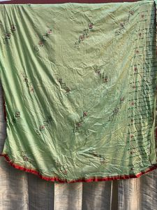 Elegant Light Green Embroidered Saree