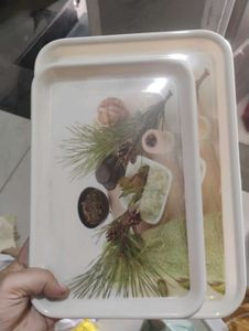 Set of 2 Decorative Trays