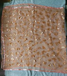 Embellished Sheer butterfly design duppata