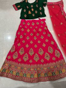 Embroidered Lehenga Choli Set