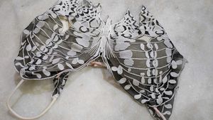 Unique Butterfly Wing Bra