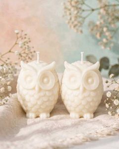 Lakshmi Owl Candle - Diwali Pujan Special