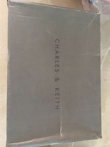 Charles And Keith Stilettos