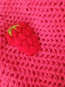 Cute Strawberry Crochet Cardigan