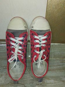 SPARX SHOES