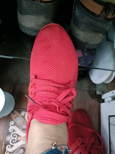 Red Casual Sneakers - Size 39