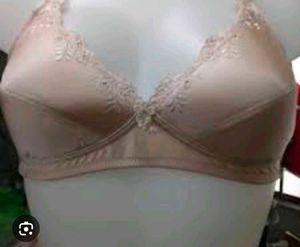 Very Beautiful Embroidery Bra