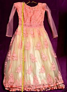 Elegant Pink & Cream Embroidered Gown