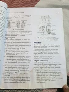 Books Biology CBSE Class 12