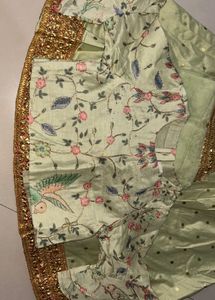 Embroidered Parrot lehenga chili for Girls