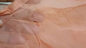 Peach Saree with Gold Embellishments