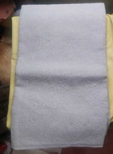 Elegant Lucknow Chikan Work Embroidered Saree