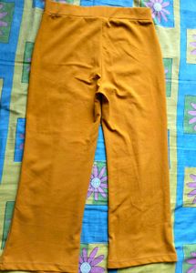 Mustard Yellow Flared Trousers