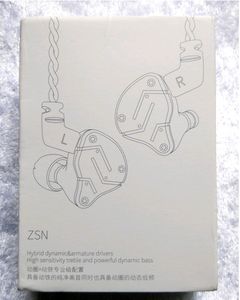 KZ ZSN IEM (First Model) (Customised)