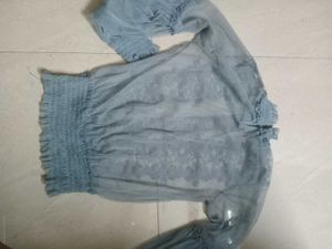 Sheer Lace Floral Puff Sleeve Top