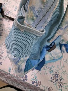 2 Backpacks: Aakash &amp; Frozen Themed