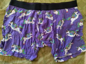 MEUNDIES flying unicorn Boxer Shorts