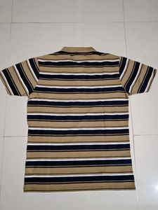 Collared Tshirt | Stripped Tshir