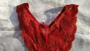 Sheer Lace Red Briefs