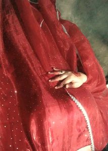 Elegant Maroon Sequined Gown