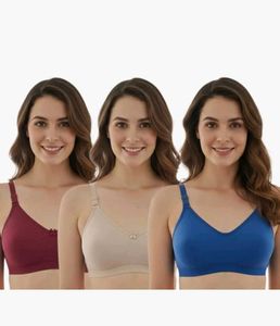 pack of three daily wear bra