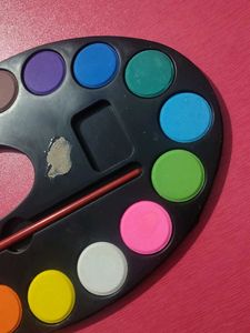 : 🎨 Vibrant 12-Color Watercolor Palette - Bilkul